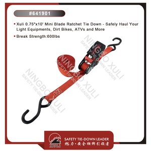 Xuli <span class=keywords><strong>Sangle</strong></span> d'arrimage à <span class=keywords><strong>cliquet</strong></span> pour <span class=keywords><strong>mini</strong></span>-lame 0.75 "x 10 '20mm - Product Image 6