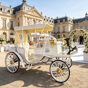 Élégante calèche électrique de conte de fées pour mariages, événements touristiques et location, accessoire photo - Product Image 2