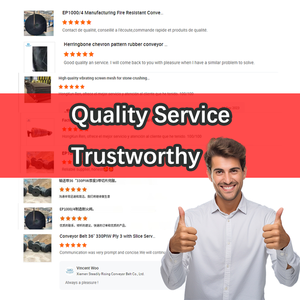 حزام ناقل نايلون بلاستيكي عالي القوة لجدار الشركة المصنعة من النايلون لصناعة الأغذية مزرعة التعدين مقاوم للحرارة - Product Image 6