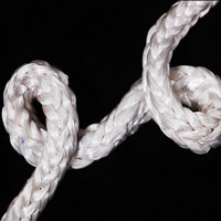 Corde d'amarrage torsadée en polyester 8 ou 12 brins, super résistante, durable et étanche, avec rotation à 360 degrés (Usine de Jiangsu)