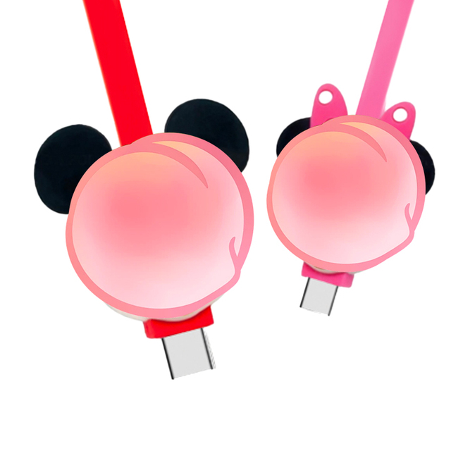 For New Cartoon USB C Cable with Braid Shielding 6A Fast Charging for Computer & Earphone Cute Design Type-C to Type-C