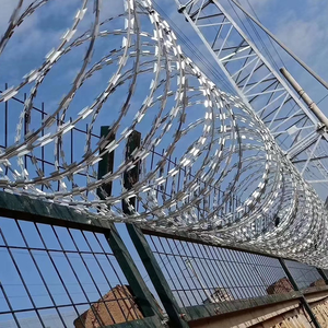 Filo Spinato Zincato in Bobina, Alta Sicurezza Anti-Arrampicata, Lunga Durata per Recinzioni Carcerarie - Product Image 5