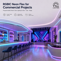 Tira de neón LED RGBIC direccionable de 24V, programable digitalmente, de silicona, para bares, discotecas, escenarios, luz de cuerda de color de ensueño