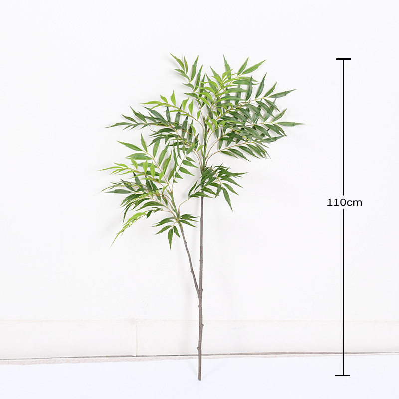 Branche unique de Mahonia fortunei, 2 branches - 110cm