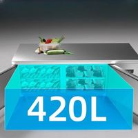 Congélateur encastrable DAWNTECH sur mesure, refroidi par air, à double porte, pour cuisines commerciales