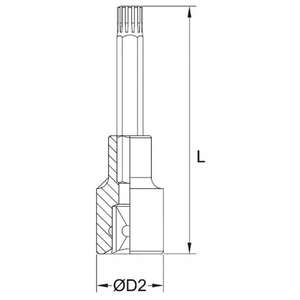 FERVI - BN433L008A 1/2 ''Long Ribe bit socket - EAN 8012667282646 HAND SOCKETS 1/2" - Product Image 2