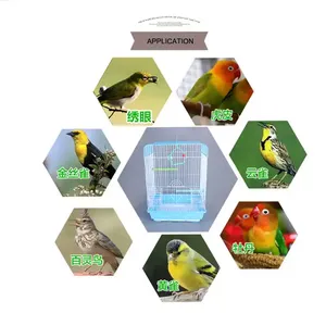 Productos para mascotas en stock, jaula para pájaros con parte superior plana, jaula para pájaros de alambre, casa colgante con alimentador exterior, <span class=keywords><strong>bebedero</strong></span> y bandeja extraíble, 12 piezas - Product Image 6