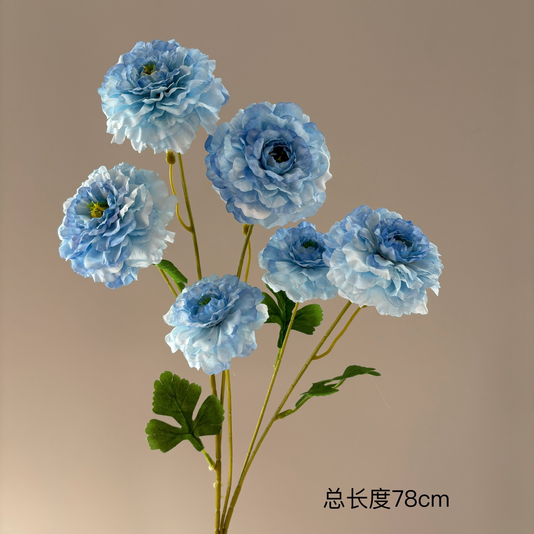 Pivoine koi à 6 têtes