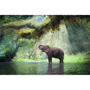 <span class=keywords><strong>Realismo</strong></span> moderno elefante pittura a olio parete di casa carta d'arte supporto per la natura ritratto della fauna selvatica soggiorno decorativo appeso - Product Image 3