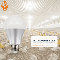 Bombilla LED Multicolor para Aves de Corral con Opciones de Blanco Cálido, Rojo, Azul y Verde para Iluminación Personalizada en Gallineros de Engorde, Ponedoras y Cría