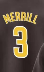 Uniformes de Béisbol y Sóftbol Personalizados para Mujer, Talla Grande, Sublimados, Transpirables, de Secado Rápido, con Botones - Product Image 6