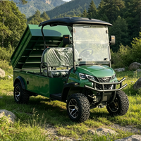 Voiture de golf électrique tout-terrain Rainbow 72V certifiée CE, freins à disque, 2 places personnalisées avec benne arrière hydraulique, autonomie 70-90 km