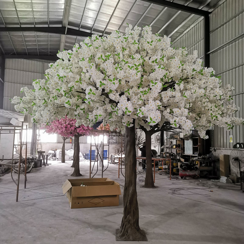 Albero Di Sakura Magico - Decorazione Giapponese 13,5 Cm - Fiorisce Con Acqua - Per Desktop E Casa - Foto 2