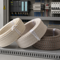 S-Typ Thermoelement-Verlängerungskabel Glasfaserisolierung Verseilte Leiter für Industrielle Anwendung IP65 450V-750V Kompensationskabel