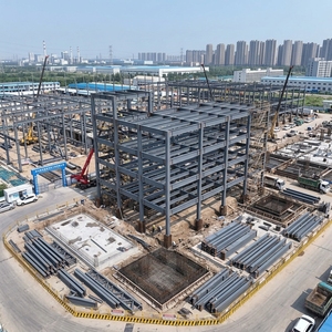Sistema de Estructura de Acero para Almacenes en Egipto, Argelia, Marruecos, Túnez y Proyectos Industriales del Norte de África - Product Image 3
