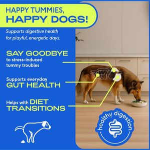 Hoogwaardige probiotische kauwtabletten voor huisdieren - supplement voor honden & katten ter ondersteuning van de spijsvertering, immuunsysteem & darmgezondheid - Product Image 3