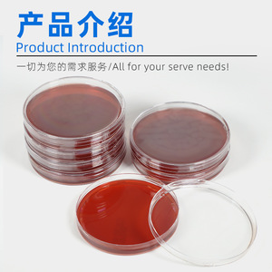 Placa de Petri End Peak Bio de 90 mm, estéril, con medio de agar MacConkey para uso en laboratorio - Product Image 3