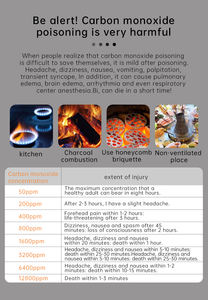 מד גל פחמן חד חמצני צג גלאי עשן עם אזעקה אור וקול - Product Image 6