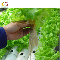 Usine directement en gros jardin Vertical culture hydroponique légumes système de culture Kit serre