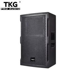 TKG 450W dj 12英寸扬声器扬声器中国TT12M有源功率扬声器有源扬声器