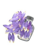Petali di Ninfea Pressati Naturali Viola con Resina Epossidica per Gioielli Fai da Te, Petali di Ninfea Essiccati per Decorazioni di Gioielli