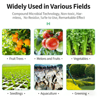 Source d'azote organique à 99% de pureté, entièrement soluble dans l'eau, poudre d'acides aminés d'origine végétale, engrais, acide humique, type compost, tout