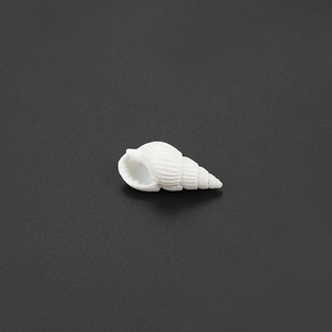 Natural Mini Seashell Craft Decorations White <b>Shell</b> Diy Home Decoration Eco Friendly Raw Material Yiwu Origin - Product Image 4