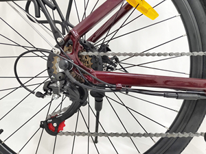 ELYX005 señora bicicleta 700C <span class=keywords><strong>la</strong></span> ciudad 250W acelerador uso listo barato bicicleta de carretera bicicleta eléctrica adultos - Product Image 3