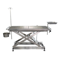 Table de toilettage pour animaux de compagnie à élévation électrique Table de toilettage pour chiens Table de toilettage vétérinaire Instruments chirurgicaux pour animaux