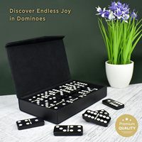 Ensemble de dominos noirs vierges avec étui de présentation personnalisé pour cadeau d'entreprise, marque privée, vente en gros et revente