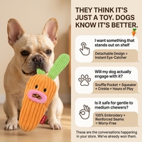 Jouet en peluche couineur et froissé pour chien, en forme de légumes (chou, carotte, maïs), avec distributeur de friandises, détachable, pour chiots et petits chiens