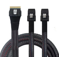 Cable de disco duro del servidor Mini SAS 8i 74pin a 2 puertos Mini SAS 36P Impedancia de SFF-8087 85 ohmios 12Gbps