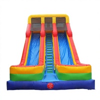 Toboggan aquatique gonflable d'extérieur Winsun en PVC avec design palmier, couleur et taille personnalisables, grande capacité pour parcs aquatiques