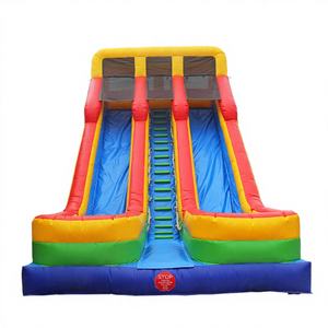 Tobogán Acuático Inflable con Forma de Palmera para Exteriores Winsun de PVC - Product Image 1