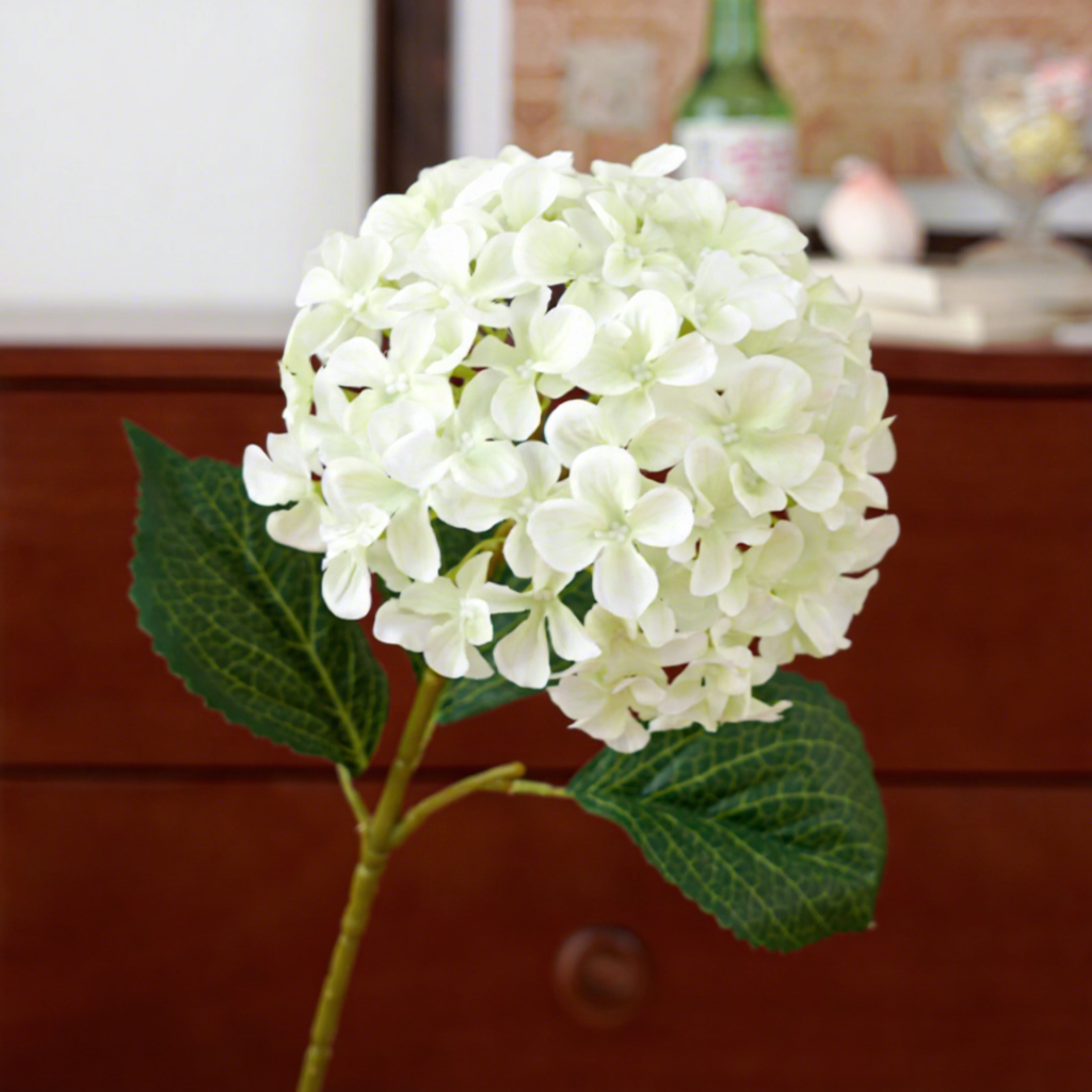 Blanc-vert