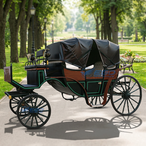 Carruaje Turístico Victoria con Techo Abierto Eléctrico, Vagoneta para Bodas con Cortina para Lluvia - Product Image 1