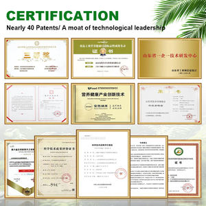 Fournisseur fiable de nanoémulsion d'extrait de ginseng, source active avancée pour l'adoucissement et l'éclaircissement de la peau - Product Image 6