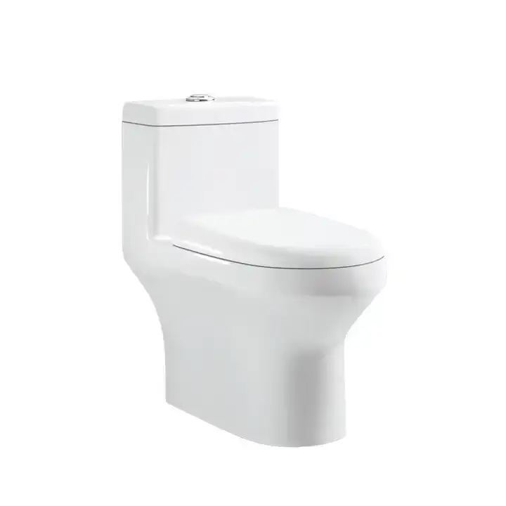 Set di servizi igienici e accessori da bagno in ceramica Set da pavimento sifone S trappola 300 mm di un pezzo WC
