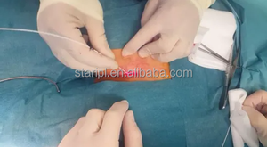 Perawatan Laser ambeien 980nm 1470nm, alat medis procologi Fistula Logi Anal penghilang pembuluh darah varises - Product Image 6