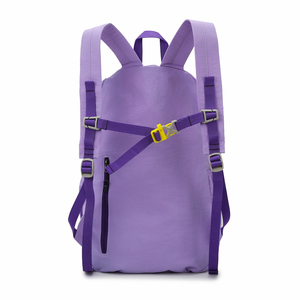 Chất Lượng Cao Bán Buôn Tùy Chỉnh Ba Lô Sinh Viên Giản Dị Màu Dây Kéo Có Thể Gập Lại Ba Lô - Product Image 4