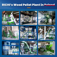 Ligne de production de granulés de bois RICHI à performance stable et grande capacité, 1 à 40 tonnes par heure, usine de granulés de bois en Pologne