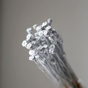 Boîte cadeau en forme de dôme avec fleurs préservées faites à la main pour un anniversaire, un mariage, la décoration de la maison - Product Image 1