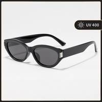 Lunettes de soleil tendance 2026, monture œil de chat TR90, logo personnalisé, style haut de gamme, protection UV, pour hommes et femmes