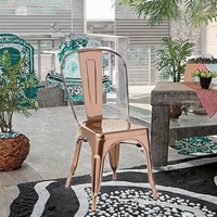 Chaise de salle à manger moderne en fer pour usage domestique et extérieur, idéale pour appartements, villas, gymnases, parcs et jardins