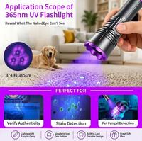 Lampe torche UV rechargeable Type-C puissante 20W, durable, lumière UV violette 365nm pour séchage d'encre et détection fluorescente de billets