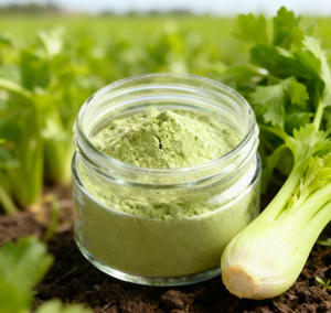 Succo di sedano naturale in polvere, estratto di sedano, per uso alimentare - Product Image 2