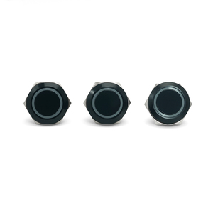 <span class=keywords><strong>12V</strong></span>/24V IP65/IP67 220V Ultradunne 12/16/19/22mm Momentane Ringverlichte LED RVS Drukknop Schakelaar Elektronisch - Product Image 1