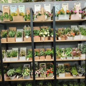 Mini plantes artificielles en pot de béton, eucalyptus, <span class=keywords><strong>romarin</strong></span>, bonsaï avec ficelle pour décoration de bureau, étagère, style farmhouse - Product Image 6