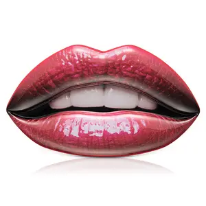 2022 Nieuwe Cosmetische Lipgloss Kit In Ijzeren Doos Mat En Shimmer Met Een Lip Liner Potlood Set Mode Luxe stijl Maquillage