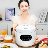 Cuisinière à riz multifonctionnelle numérique à écran tactile microélectronique, cuisinière à riz intelligente